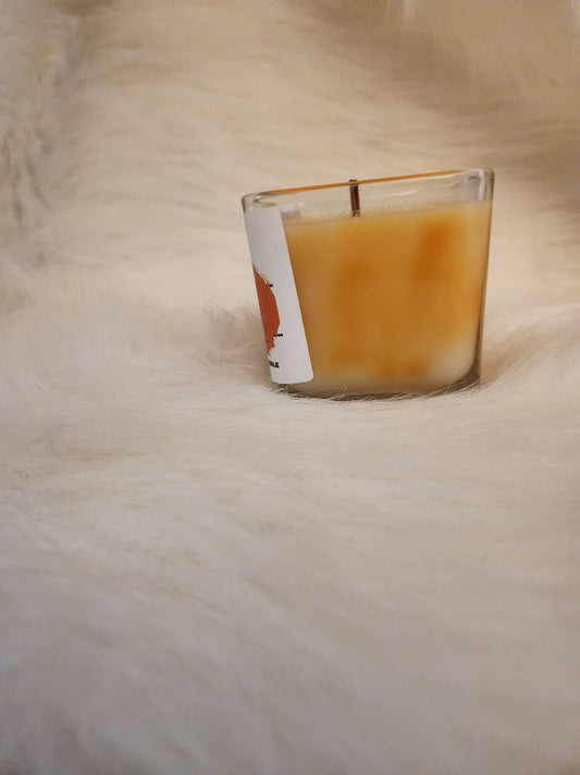 Orange popsicle 10oz candle